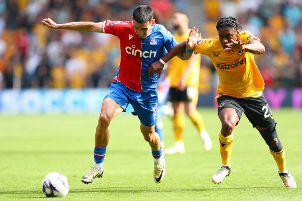 许多年轻球 许多年轻球