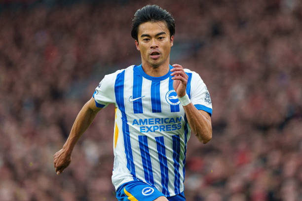 他对她不离 他对她不离